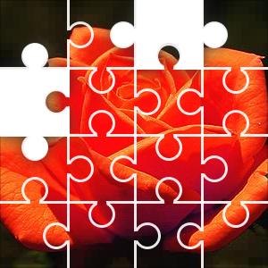 wind rose puzzle