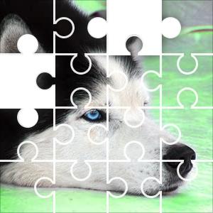 dog puzzle tengami