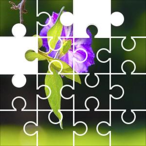 Jeu Vidéo Fiber Twig - Puzzle De Minuit - PC (Windows XP à 10) - Neuf Sous Blister